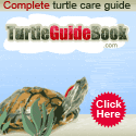 TurtleGuideBook
