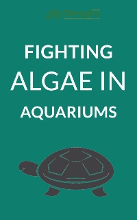Fighting Algae In Aquariums