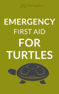Emergency First Aid For Terrapins